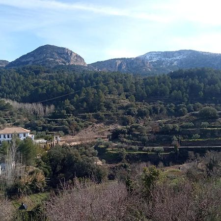 Auberge de jeunesse Casa Malferit à Alcoleja Extérieur photo